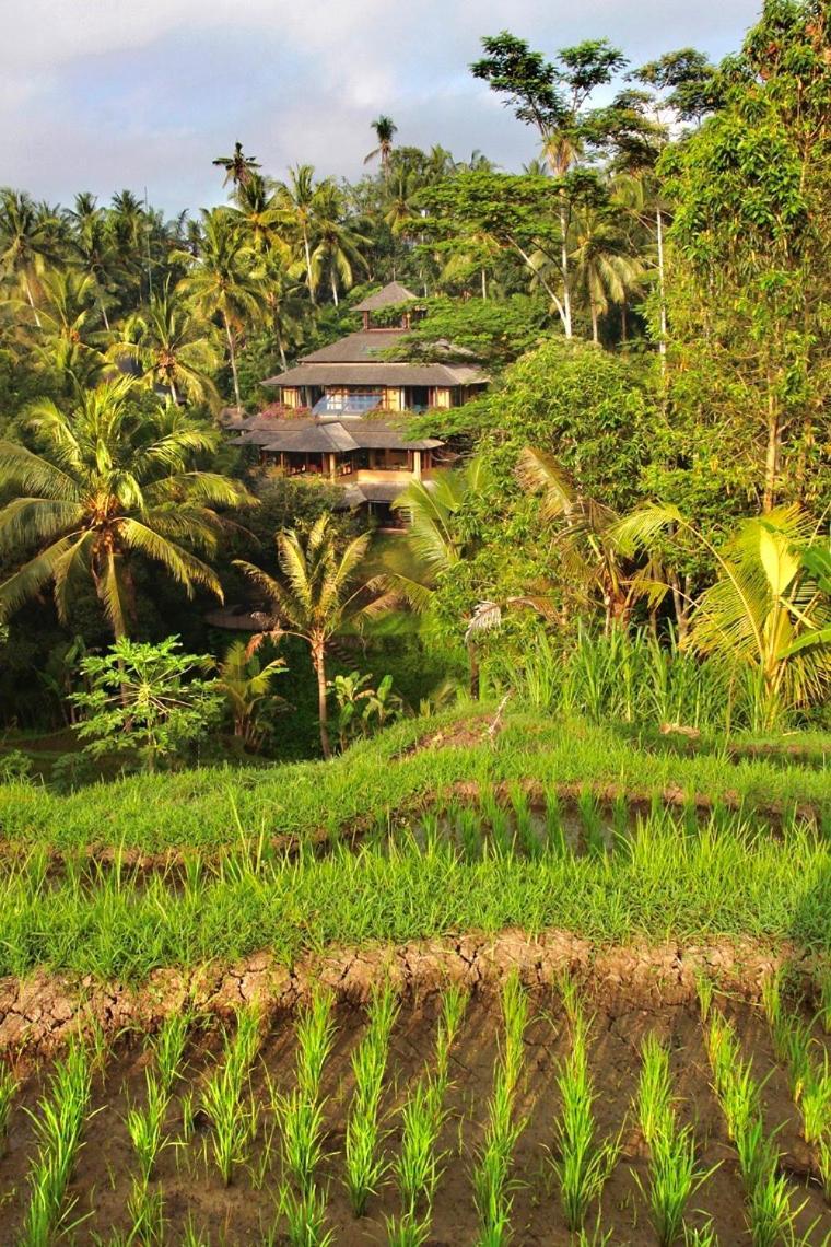 Lumina Residences And Wellness Sanctuary Ubud Extérieur photo