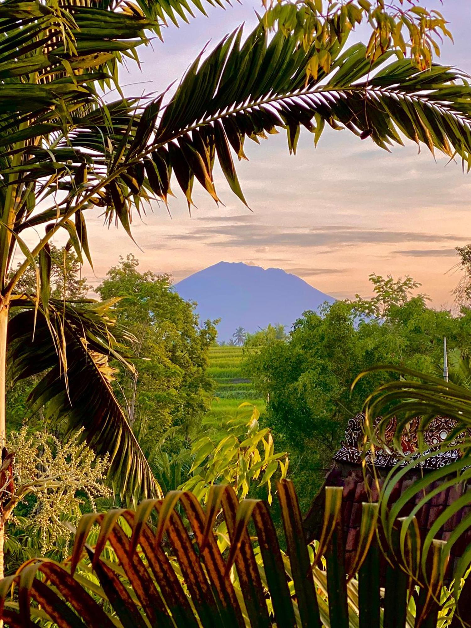 Lumina Residences And Wellness Sanctuary Ubud Extérieur photo
